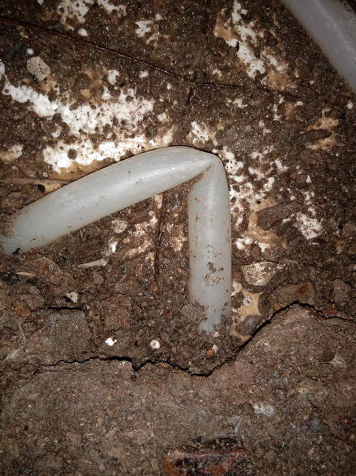 平阳堵点精准查找